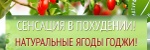 Сенсация в Похудении - Ягоды Годжи - Советск